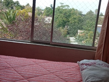 Imagen 12