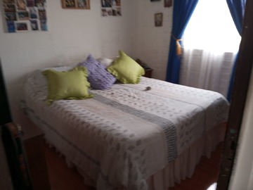 Imagen 20