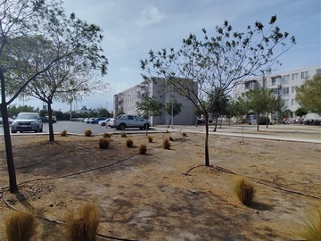 Imagen 29