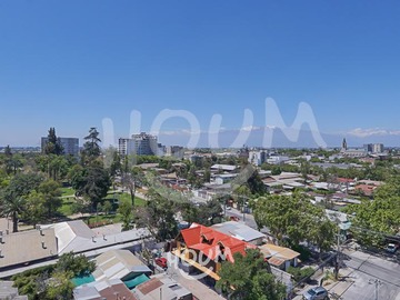 Imagen 11