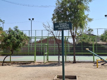 Imagen 11