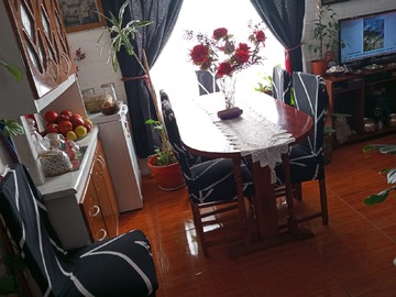 Imagen 11