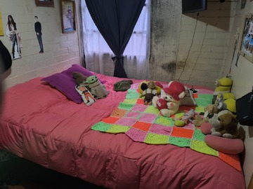 Imagen 2