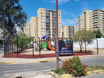 Imagen 6