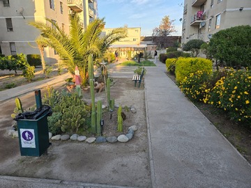 Imagen 18