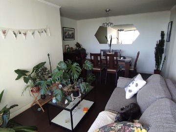 Venta / Departamento / San Joaquín