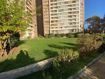 Imagen 7
