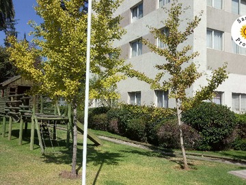 Venta / Departamento / San Joaquín