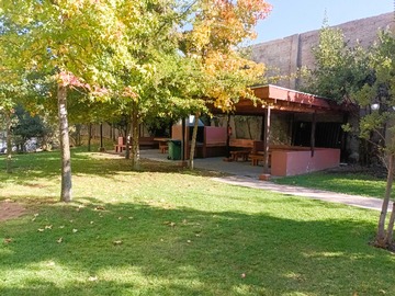 Imagen 21
