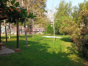 Imagen 21