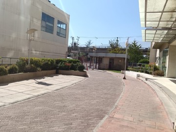 Imagen 7