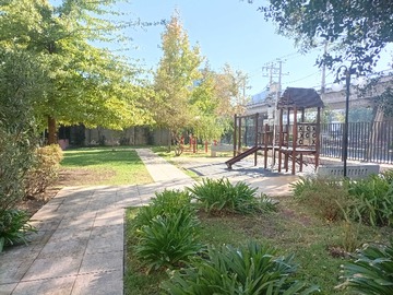 Imagen 20