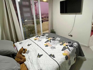 Imagen 14