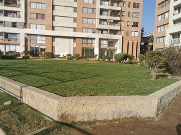 Imagen 12