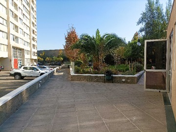 Imagen 19