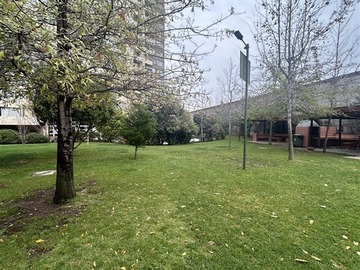 Imagen 25