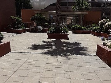 Imagen 22