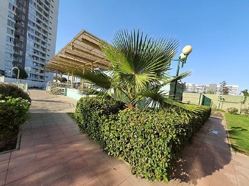 Imagen 12