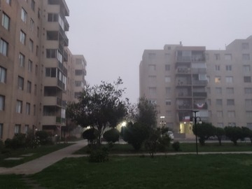 Imagen 20