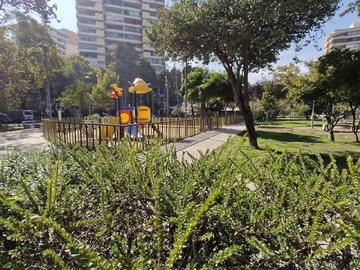 Imagen 4