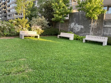 Imagen 12
