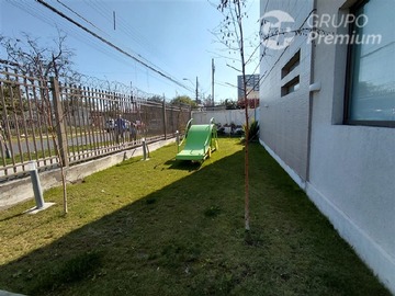 Imagen 20