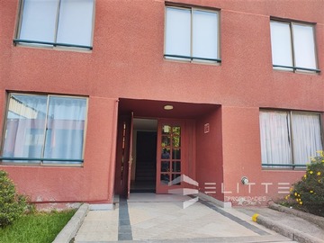 Imagen 18