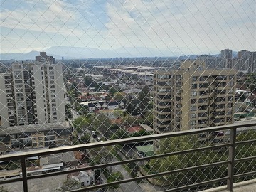 Imagen 11