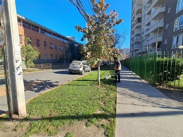 Imagen 33