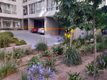 Imagen 21