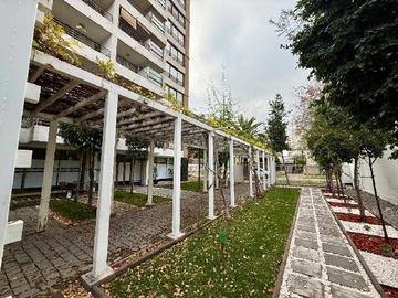 Imagen 19