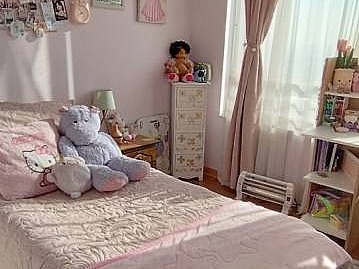 Imagen 17