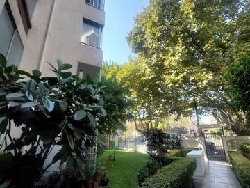 Imagen 27
