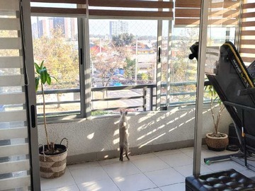 Imagen 5