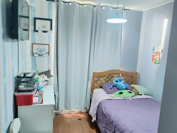 Imagen 6
