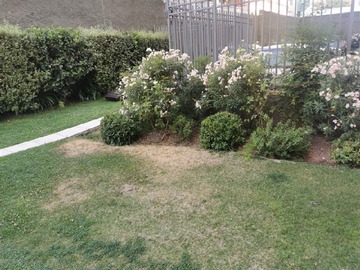 Imagen 19