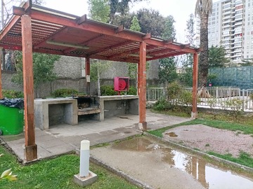 Imagen 20