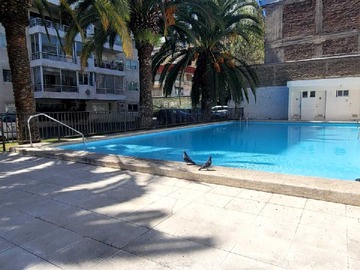 Imagen 20