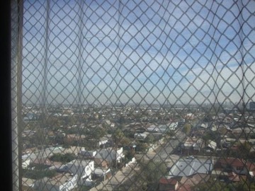Imagen 11