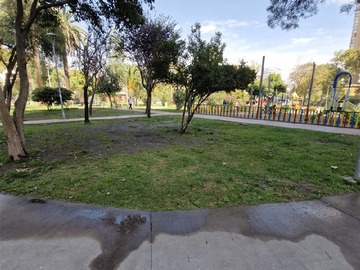 Imagen 24