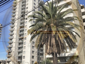 Imagen 10