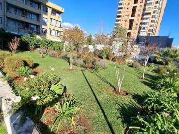 Imagen 13