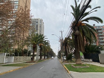 Calle