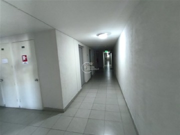 Imagen 14