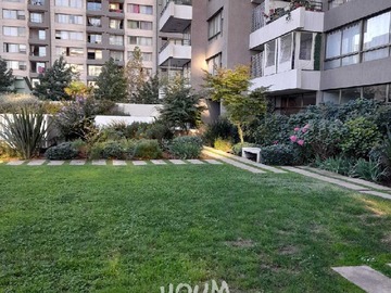 Imagen 26
