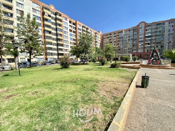 Imagen 13
