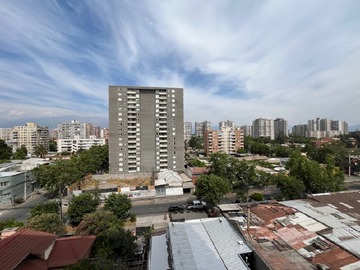 Imagen 11