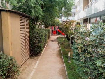 Imagen 11