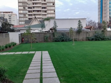 Imagen 12