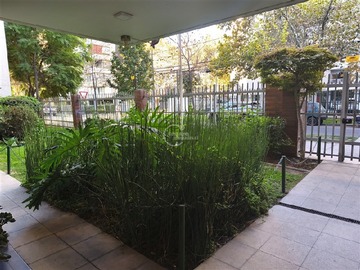 Imagen 13
